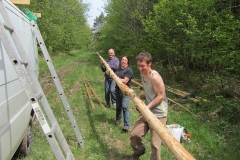 Bois en forêt 2013