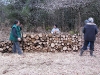 bois-en-foret-2013-19