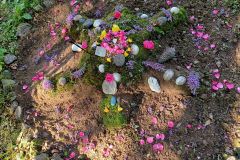 Inipi_2024_30_web