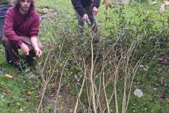 Inipi_2024_35_web