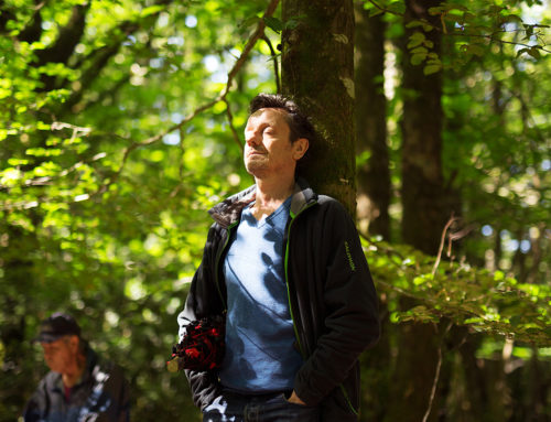 Camp de quête de vision du 9 au 20 juillet 2023 en Bretagne Sud