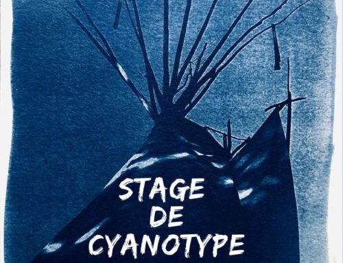 Stage de Cyanotype avec Marie Uribe de La Palma les 13 et 14 mai