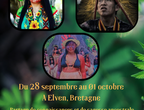 Rencontre avec les Noké Koi Varinawa du 28 septembre au 1er octobre 2023