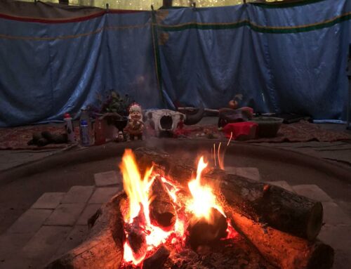 Rencontres et Cérémonies avec les Noké Koi d’Amazonie Brésilienne les 18, 19, 20 et 21 septembre 2025